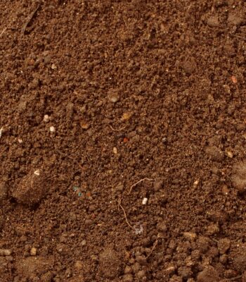 15mm Screened Topsoil